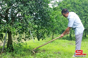 'Hộ sản xuất nông nghiệp tiêu biểu