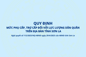 'Phụ cấp, trợ cấp đối với lực lượng dân quân