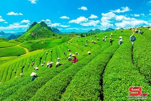 'FTA - thúc đẩy thương mại đa chiều