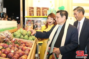 'Cây ăn quả trên đất dốc - Biến không thành có, biến khó thành dễ