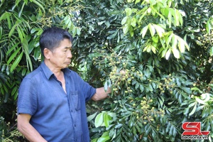 'Thay đổi nhận thức, cách làm để nâng cao thu nhập