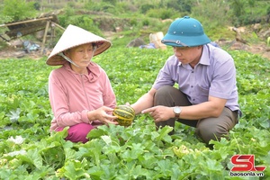 'Thu nhập ổn định từ mô hình kinh tế tổng hợp