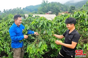 'Thanh niên Thuận Châu khởi nghiệp, sáng tạo