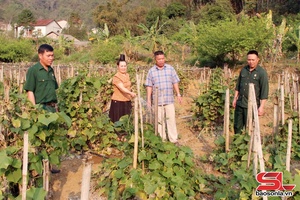 'Tín dụng ưu đãi giúp hộ nghèo phát triển kinh tế