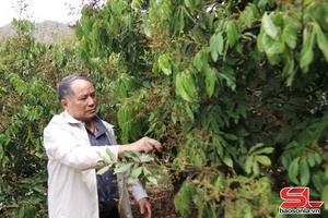 'Tuổi cao, gương sáng