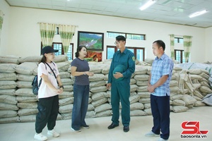 'Đảng bộ xã Ngọc Chiến lấy dân làm gốc