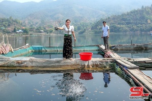 Chi hội trưởng phụ nữ gương mẫu làm kinh tế giỏi