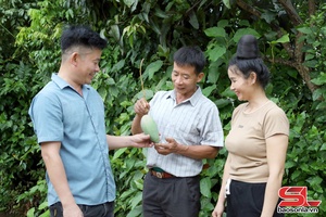 Bí thư, trưởng bản gương mẫu