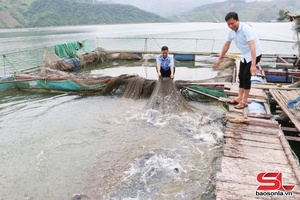 'Đồng hành cùng nông dân phát triển kinh tế