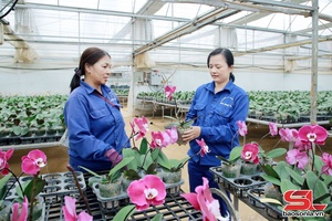 'Thu hút tạo việc làm cho lao động địa phương