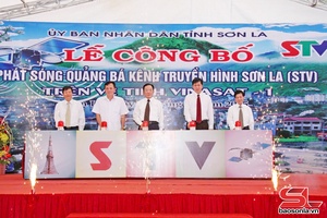 'Đến với khán giả qua vệ tinh Vinasat-1
