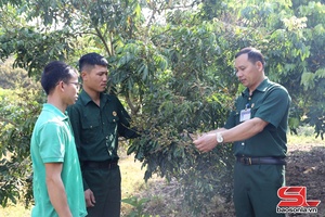 'Cựu chiến binh giúp nhau làm kinh tế
