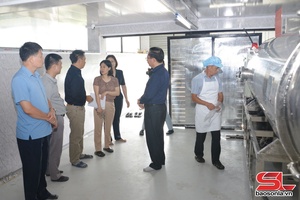 'Thúc đẩy phát triển ngành công nghiệp - tiểu thủ công nghiệp