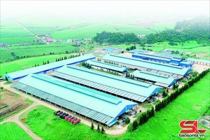 'Sơn La phát triển kinh tế tư nhân