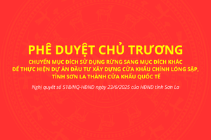Chuyển mục đích sử dụng rừng để thực hiện Dự án đầu tư xây dựng cửa khẩu chính Lóng Sập thành cửa khẩu Quốc tế