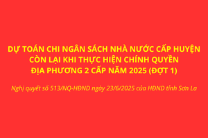 Điều chỉnh dự toán chi ngân sách nhà nước cấp huyện còn lại khi thực hiện chính quyền địa phương 2 cấp năm 2025 (Đợt 1)