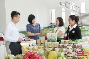 '“Lá chắn” bảo vệ thương hiệu sản phẩm