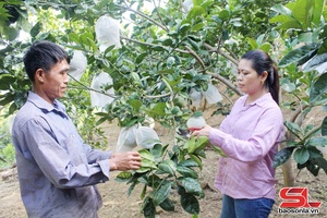 'Hỗ trợ hội viên phát triển kinh tế