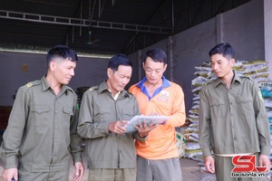 'Mai Tiên không ma túy