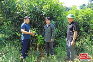 'Xuân Nha chuyển đổi cơ cấu cây trồng, vật nuôi