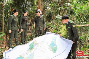 'Giữ rừng vì cuộc sống cộng đồng