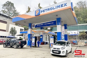 'Ứng phó với biến động giá xăng, dầu