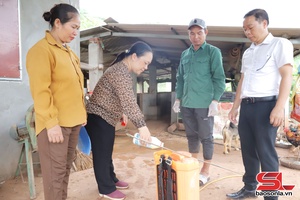 'Tập trung phòng, chống dịch cúm gia cầm