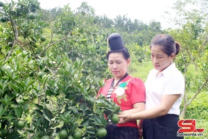 'Đồng hành cùng hội viên phụ nữ