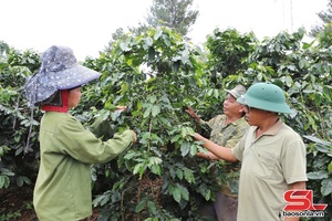 'Nhịp sống Mường Chanh
