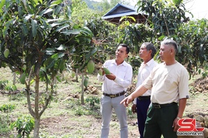 'Mường Lạn nỗ lực giảm nghèo