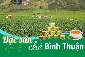 'Đặc sản chè Bình Thuận