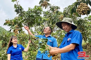 'Thanh niên lập thân, lập nghiệp
