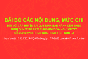 'Nghị quyết số 125/2025/NQ-HĐND của HĐND tỉnh Sơn La
