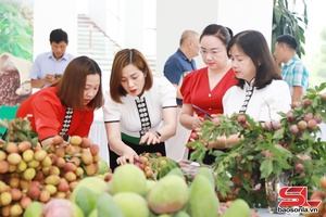 Cầu nối hỗ trợ doanh nghiệp