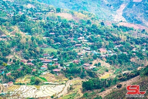 'Tân Phong chú trọng phát triển cơ sở hạ tầng