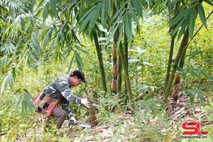 'Vai trò trung tâm điều phối, triển khai các hợp phần Dự án GREAT 2