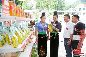 'Giúp nông sản Sơn La đứng vững trên thị trường
