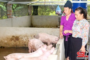 'Đồng hành cùng phụ nữ phát triển kinh tế