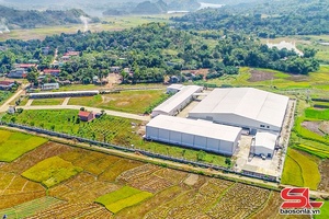 'Đẩy nhanh tiến độ hoàn thiện hạ tầng cụm công nghiệp