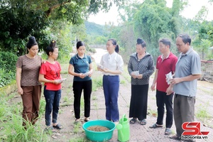 'Hỗ trợ nhân dân vùng lũ khôi phục sản xuất