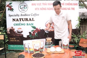 'Khởi nghiệp từ trồng cây cà phê