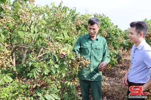 'Giải quyết kịp thời vấn đề phát sinh ở cơ sở