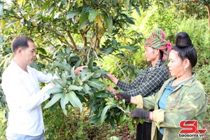 'Chi bộ tiêu biểu học và làm theo Bác