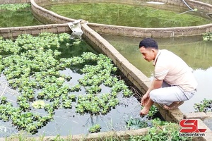 'Đoàn viên ham học hỏi phát triển kinh tế
