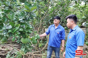 'Tuổi trẻ Mường Bú vươn lên làm giàu