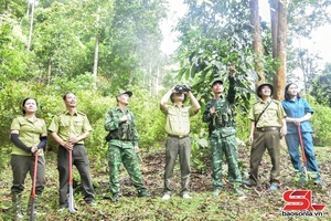 Theo những bước chân tuần rừng