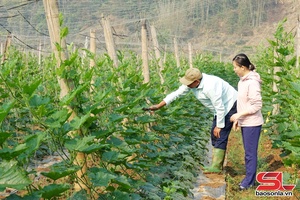 'Điểm tựa phát triển kinh tế tập thể