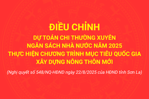 'Nghị quyết số 548/NQ-HĐND của HĐND tỉnh Sơn La