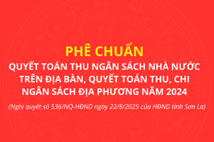 'Phê chuẩn quyết toán thu ngân sách Nhà nước trên địa bàn, quyết toán thu, chi ngân sách địa phương năm 2024