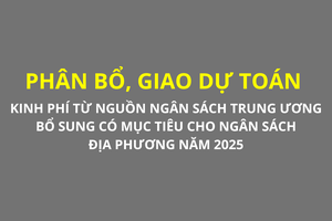 'Phân bổ, giao dự toán kinh phí từ nguồn ngân sách Trung ương bổ sung có mục tiêu cho ngân sách địa phương năm 2025
